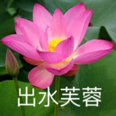中国国家版本馆第二批版本捐赠入藏大会在京举行
